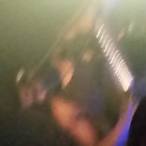 Animals as Leaders